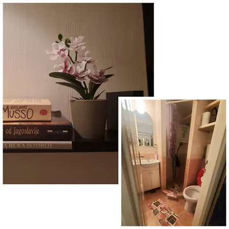 Glorry M Βελιγράδι